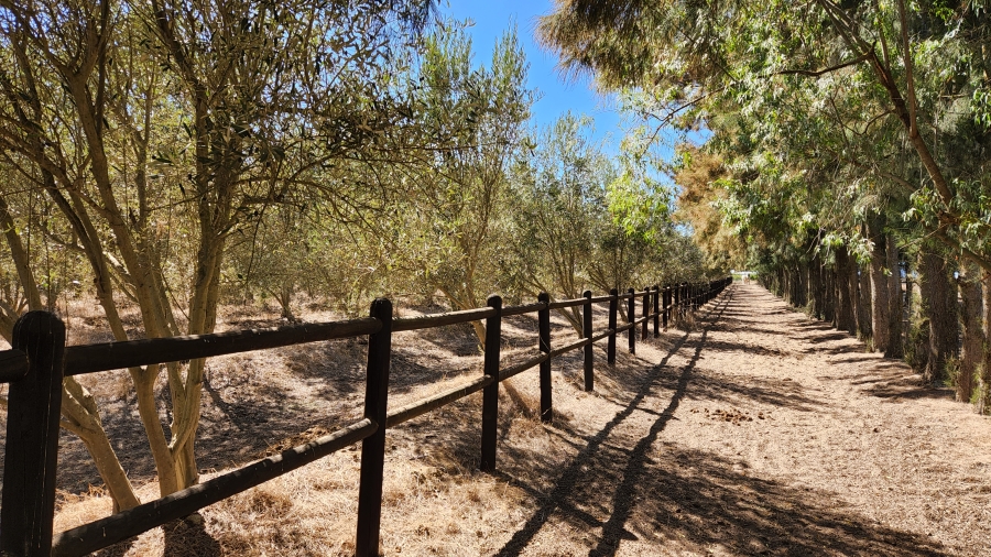 Commercial Property for Sale in Wellington Rural Western Cape